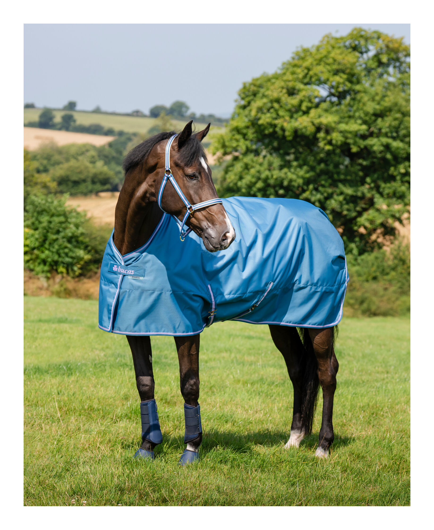 Outdoordecke Freedom Turnout 50g